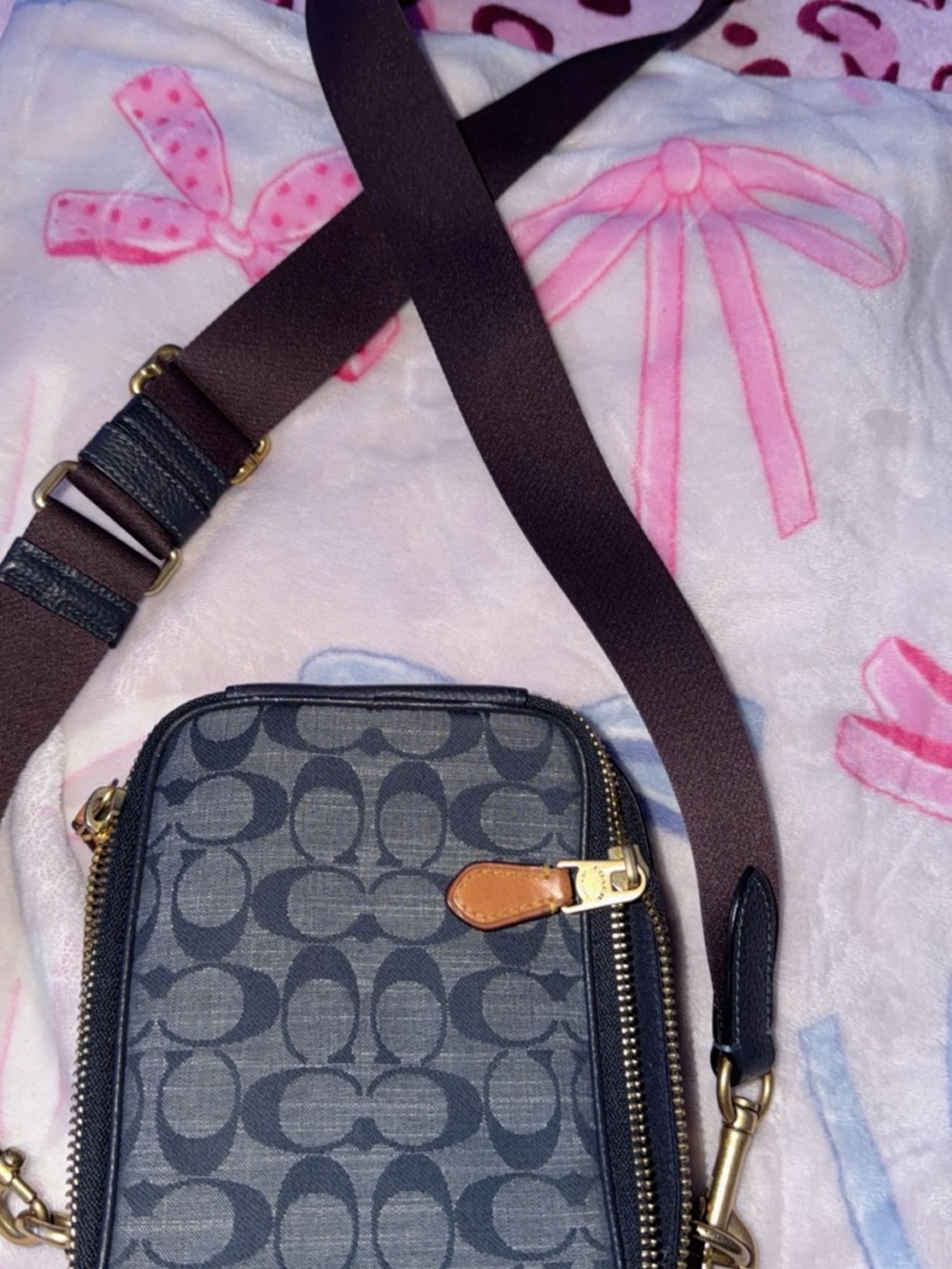 Coach Navy Blue Crossbody Bag Interior
